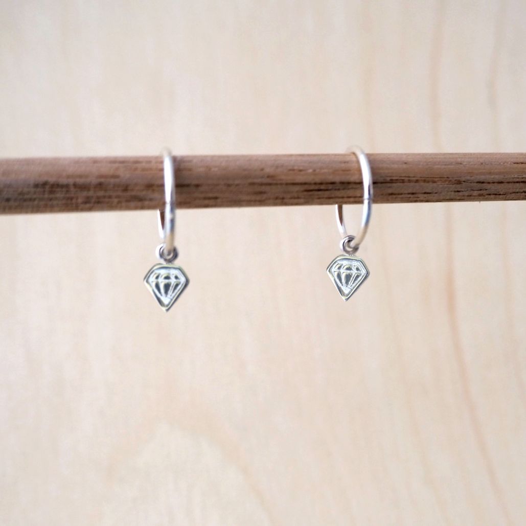 Charm Sleeper Earrings - Misc Collection