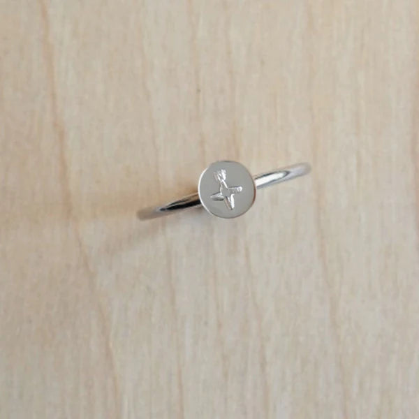 Charm Ring - Evironment Collection